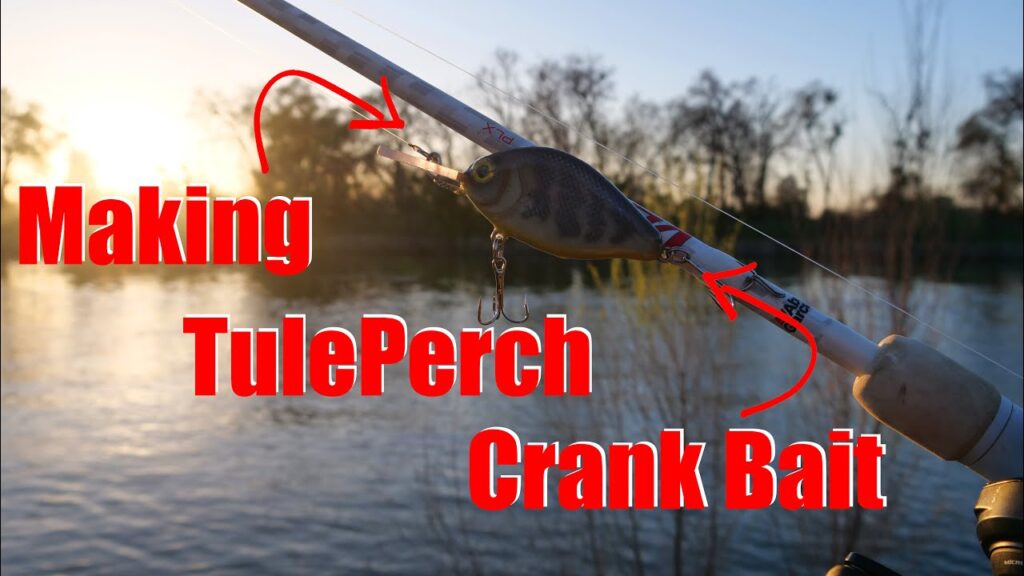 Tule perch fishing: essential bait, lures & tackle