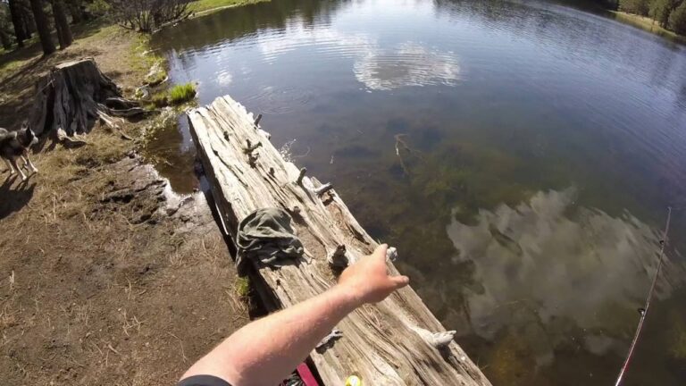 Riggs flat lake fishing guide 🎣