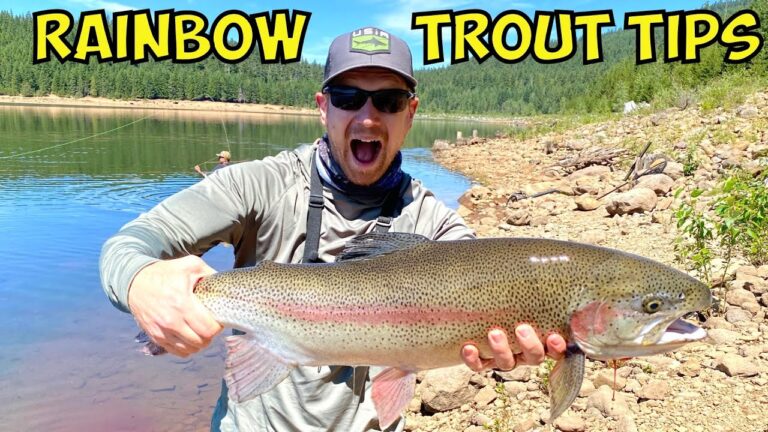 Rainbow trout fishing: essential bait, lures & tackle