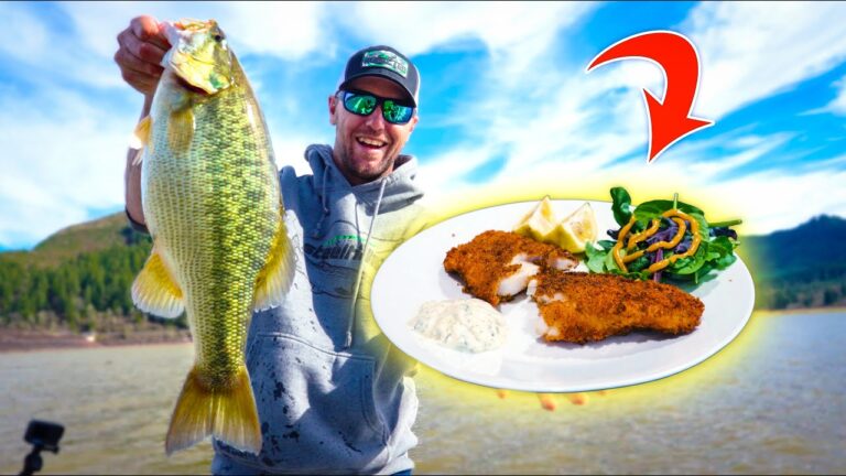 Spotted bass fishing: essential bait, lures & tackle