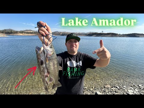 Amador lake fishing tips: best bait & tackle guide 🎣
