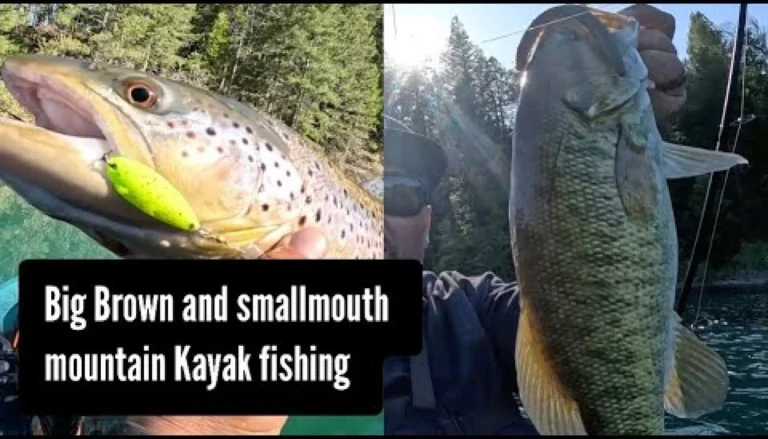 Scotts flat lake fishing report guide california 01