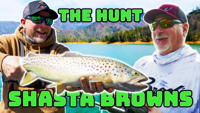 Shasta lake fishing report guide california 01
