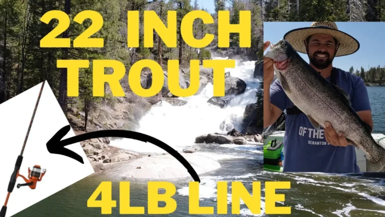 Shaver lake fishing report guide california 01