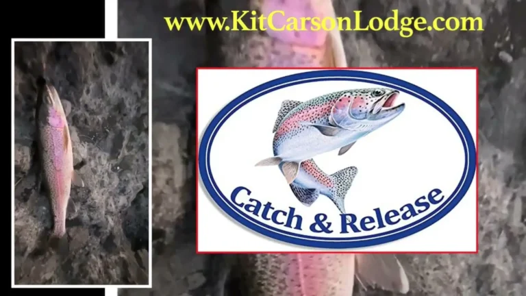 Silver lake kirkwood carson pass lake fishing report guide california 01
