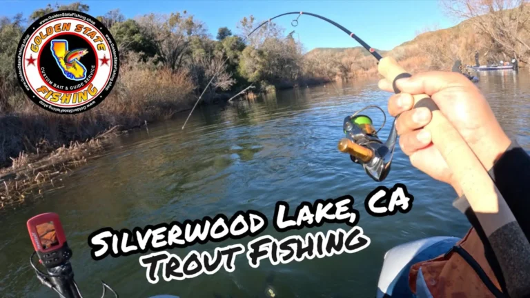 Silverwood lake lake fishing report guide california 01