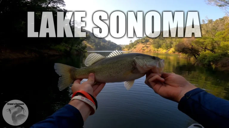 Sonoma lake lake fishing report guide california 03