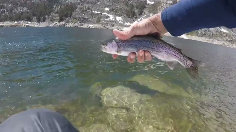 South lake lake fishing report guide california 01