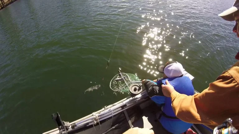 Stumpy meadows lake fishing report guide california 01