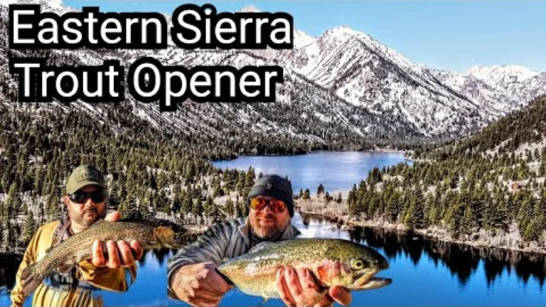 Twin lakes bridgeport fishing report guide california 01