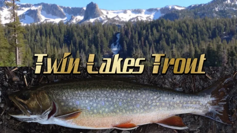Twin lakes mammoth fishing report guide california 01