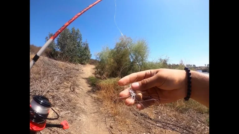 Upper otay lake fishing report guide california 01