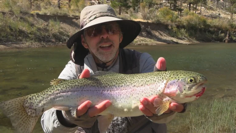 West walker river lake fishing report guide california 01