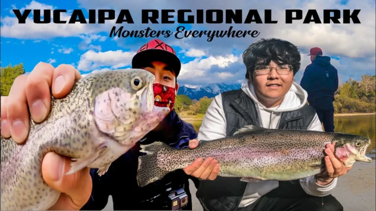 Yucaipa park lake fishing report guide california 01
